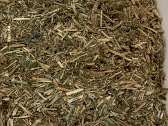 Vetch hay