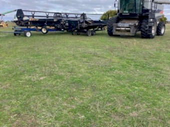 Gleaner A85, 
