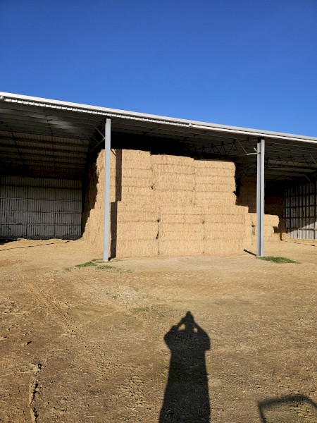132mt Lucerne Hay 515kg 8x4x3 Bales