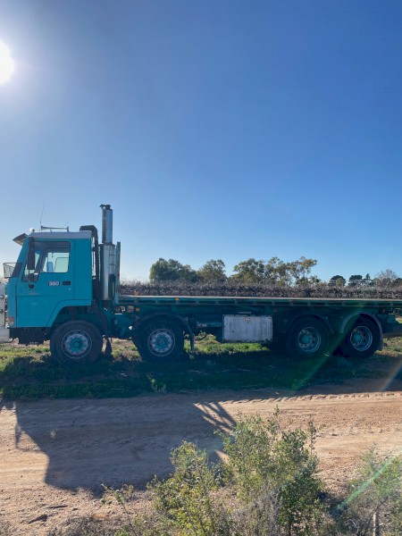 Volvo FL10 360 8x4 Twin Steer Tray Truck