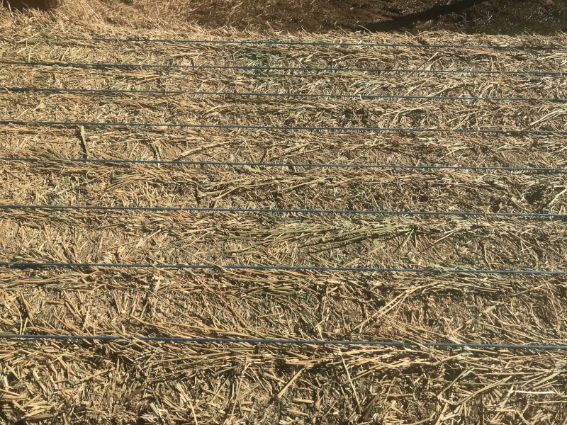 Lucerne hay 4th cut 8/4/3 large squares 125 bales 