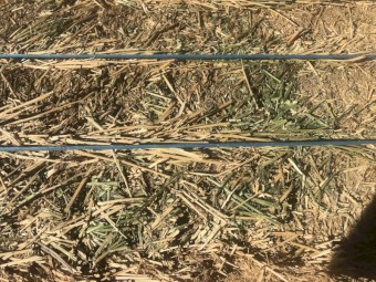 Lucerne hay 4th cut 8/4/3 large squares 125 bales 