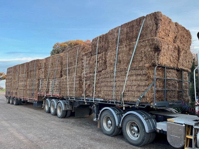 2022 vetch hay
