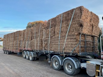 2022 vetch hay