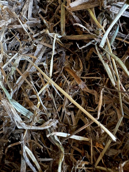 Clover Hay