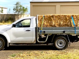 2022 Nissan Navara 4x4 Single Cab Ute