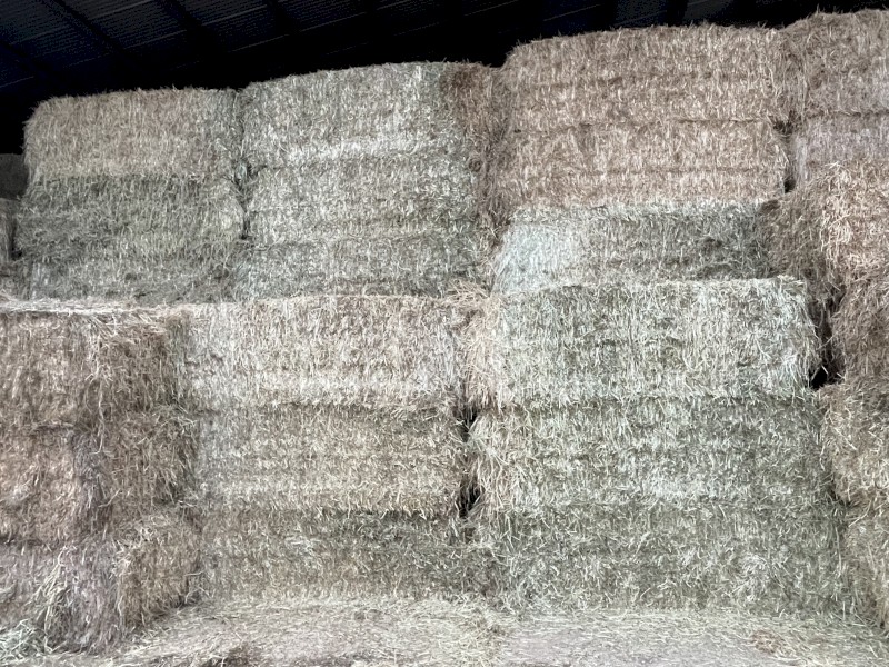 60 x Pasture Hay 8x4x3 Bales