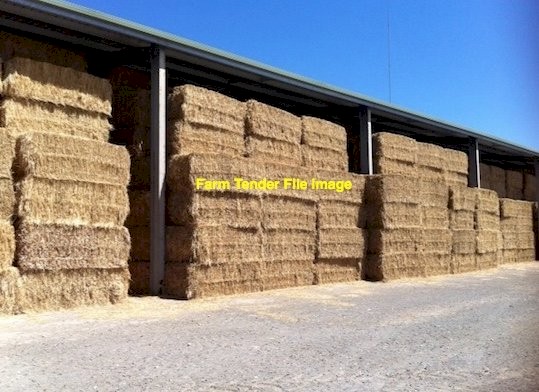 110T Clover Rye Hay 8x4x3