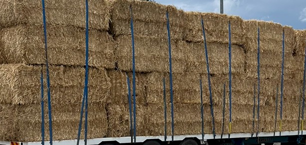 Barley Straw 520-550kg 8x4x3 Bales