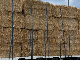 Barley Straw 520-550kg 8x4x3 Bales