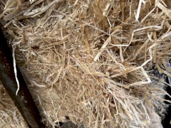 Barley Straw 520-550kg 8x4x3 Bales