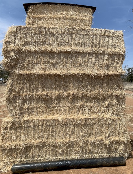 43mt Barley Straw 8x4x3 Bales 2023 season