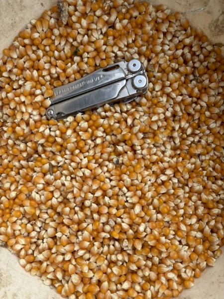 *PRICE REDUCED* 45mt Popcorn