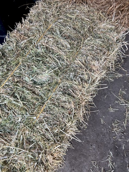 150 x Meadow Hay and  Rye Clover