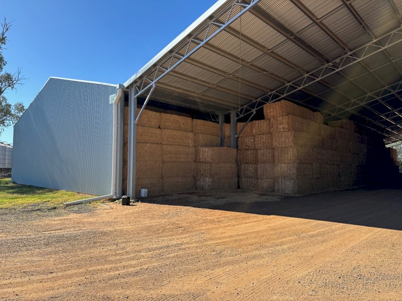 Canola Hay