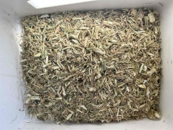 Canola Hay