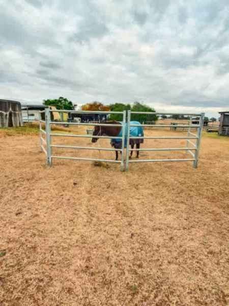 Heavy duty steel cattle panels - BRAND NEW