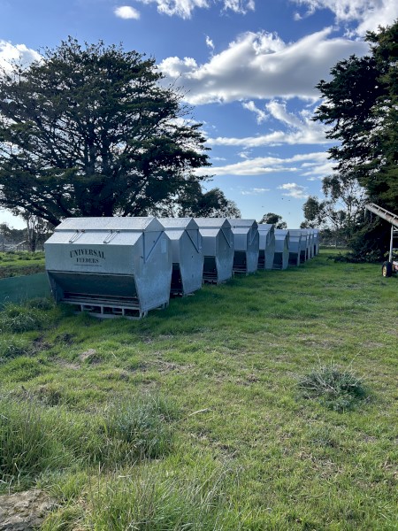 Grain feeders