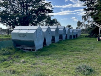 Grain feeders