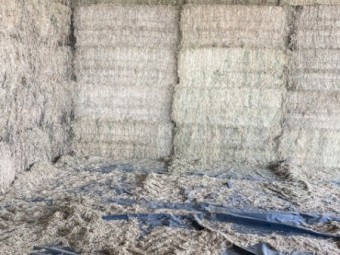Vetch Hay