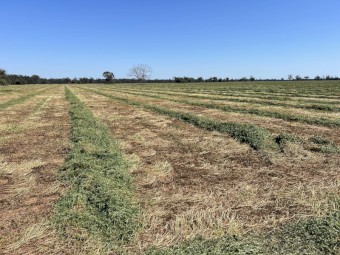  Vetch Hay 8x4x3 Bales (New Season 24/25)