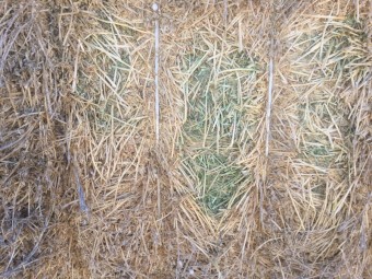 Lucerne Hay 8x4x3