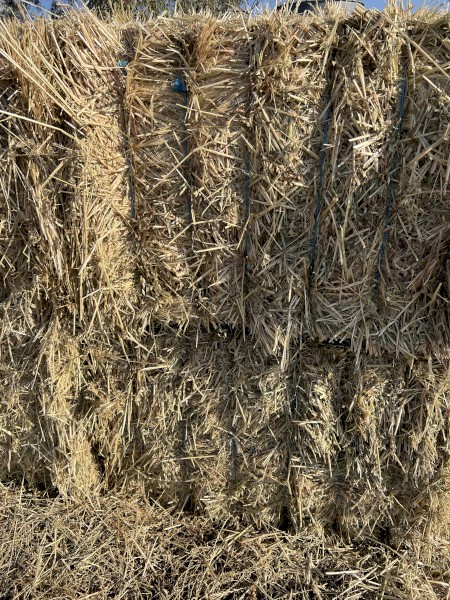 1500mt Oaten Hay 650kg 8x4x3 Bales (24/25 Season)