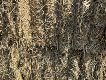 1500mt Oaten Hay 650kg 8x4x3 Bales (24/25 Season)