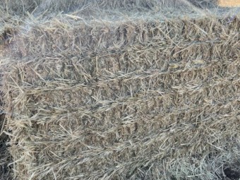 1500mt Oaten Hay 650kg 8x4x3 Bales (24/25 Season)