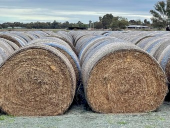 Sub Clover, 5x4 Rounds, Net Wrap