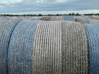 Sub Clover, 5x4 Rounds, Net Wrap