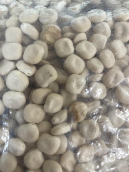 Feed Albus Lupins 