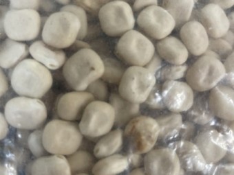 Feed Albus Lupins 
