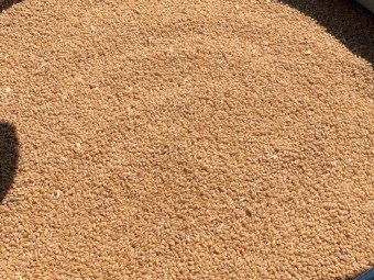 30mt ASW1 Wheat