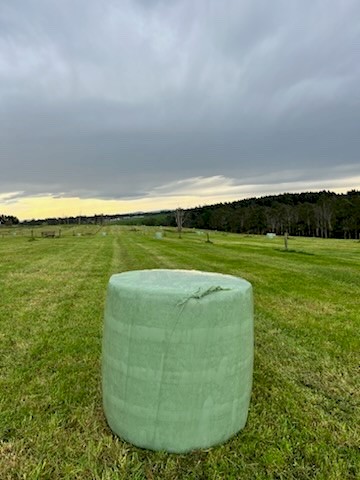 Silage