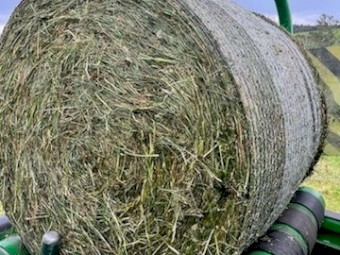 Silage