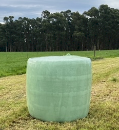 Silage