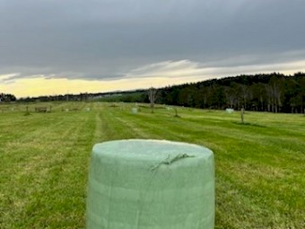 Silage