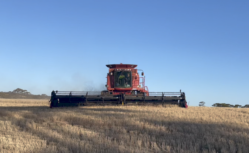 2004 Case 2388 (X-Clusive model) & 36ft 2052 model MacDon front.