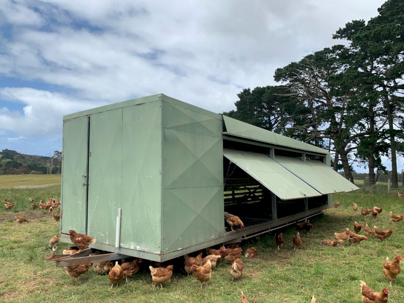 Chicken Trailer Caravan 600
