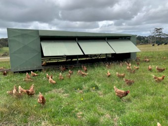 Chicken Trailer Caravan 600