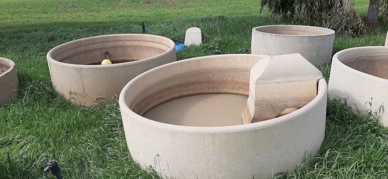 Stock troughs