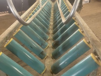 Lamb marking cradle