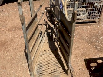 Sheep Jetter