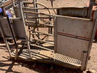 Sheep Jetter