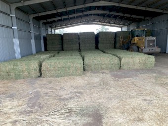 100mt Vetch Hay 8x4x3 Bales (New Season)
