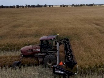 2011 Macdon 205 Windrower with R85 Mower Conditioner and D60 35ft windrowing front