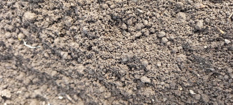 Worm Castings