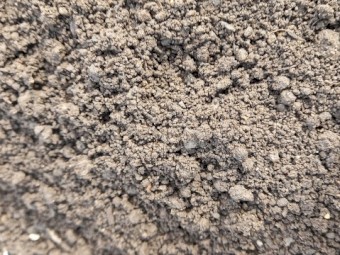 Worm Castings