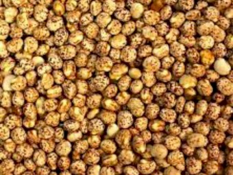 Mandelup feed lupins for sale